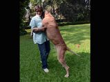 Celebrities And Their Exotic Pets