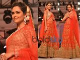 Adarsh Gill's 'Evolution' On Day 5 Of IBFW 2013