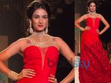 Day 4 IIJW 2013: Sonal Chauhan Glitters 