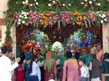 Celebration Of Krishna Janmashtami Around The World