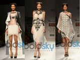 WIFW SS 2014: Ritesh Kumar