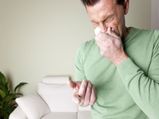 Symptoms And Cure For Dust Allergy