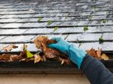 Ways To Clean Your Roof 
