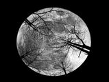 Strange Stories About The Moon