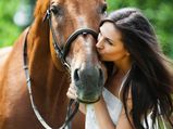 Fascinating Facts About Horses That You Didn't Know!