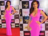 Mirchi Music Awards 2014: Sophie Choudry On Red Carpet