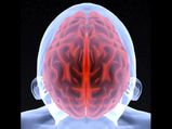 Effects Of Pornography On The Brain