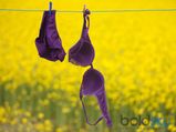 10 Tips To Hand Wash Bras & Underwear