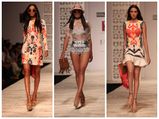 Hemant & Nandita Impress At WIFW 2015