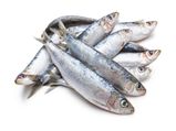 5 Reasons Why Sardines Are A Must-Have