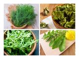 7 Bitter Foods That Cure Indigestion