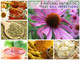 9 Natural Antibiotics That Kill Resistant Infections