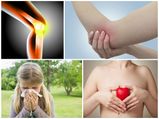 10 Health Benefits Of Olive Leaves