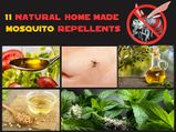 11 Natural Homemade Mosquito Repellents