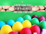 13 Surprising Uses For Eggshells And Egg Cartons