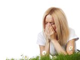 Foods That Cure Allergy