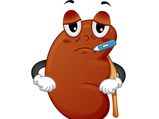 Be Aware: These Habits Can Harm Your Kidneys