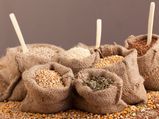 7 Healthy Indian Seeds And Their Health Benefits