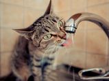 How To Deal With Water Contamination 