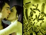 12 Amazing Facts About Bacteria