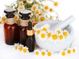 Top 7 Herbs Used To Enhance Beauty