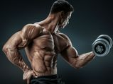 The Basics Of Muscle Building