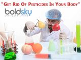 Get Rid Of Pesticides In Your Body