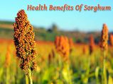 Health Benefits Of Sorghum