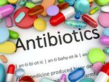 Best Natural Antibiotics To Use 