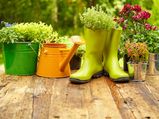 Simple Gardening Tips For Winter