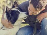 Why Women Desire Men Who Have Pets?
