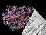 Amazing Uses Of Silica Gel At Home