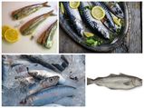 Top Ten Healthiest Fishes You Must Eat