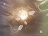 Secret Facts About Sperm