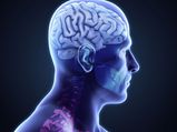 How Stress Affects Food Digestion