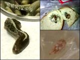 Ewww! List Of Gross Things Found In Food