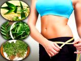5 Best Ayurvedic Remedies For Weight Loss