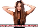 Try These Home Remedies For Dry And Damaged Hair