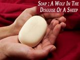 Soap: A Wolf In The Disguise Of A Sheep