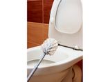 5 Natural Ways To Clean A Toilet Bowl