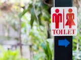Interesting Facts About Toilets