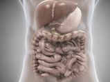 A Mixture To Cleanse Your Colon