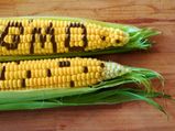 How To Flush Out GMO From Your Body