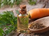 Health Benefits Of Carrot Seed Oil