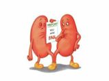 Soothe Your Kidneys With A Single Ingredient