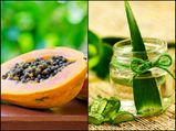 What Happens When You Apply Papaya And Aloe Vera On Your Skin? 