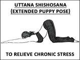 Uttana Shishosana (Extended Puppy Pose) To Relieve Chronic Stress 