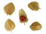 Ayurvedic Remedies For Weight Gain