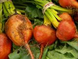 Try These Amazing Foods To Improve Your Focus And Memory