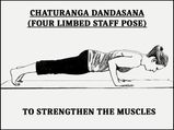 Chaturanga Dandasana (Four Limbed Staff Pose) To Strengthen The Muscles